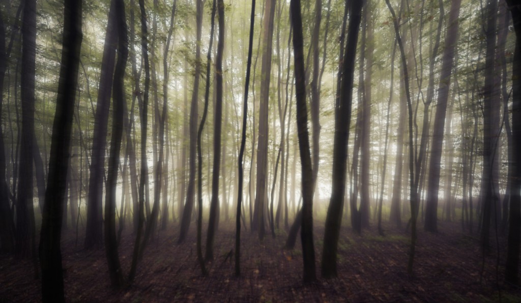 Geisterwald