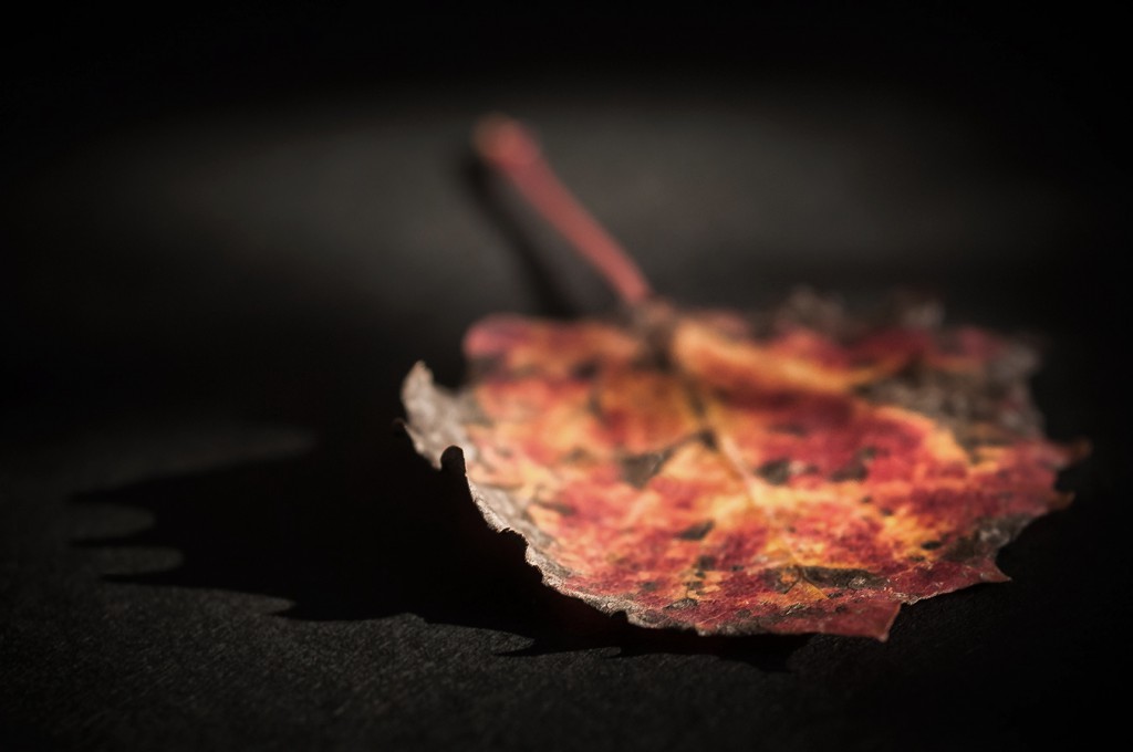Herbst